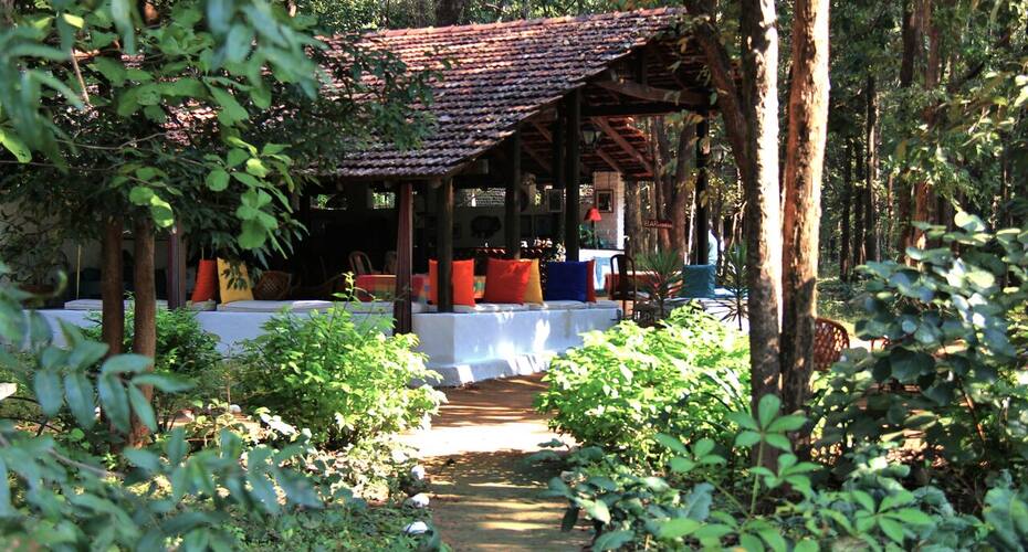 Kiping Camp, Kanha 4
